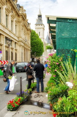 The start of the flower market